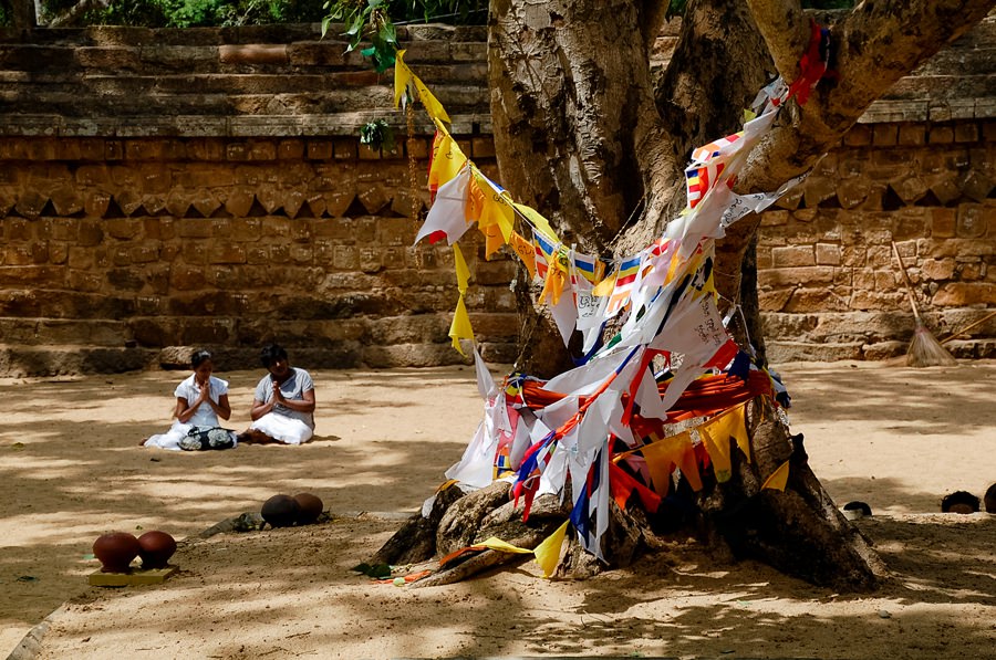 Bodhi Baum in Anuradhapura - Sri Lanka Reisebericht